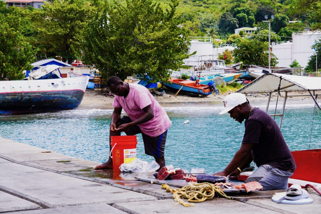 Grenada’s Fisheries Crisis: We Must Get Back the U.S. Market Photo of local fishermen
