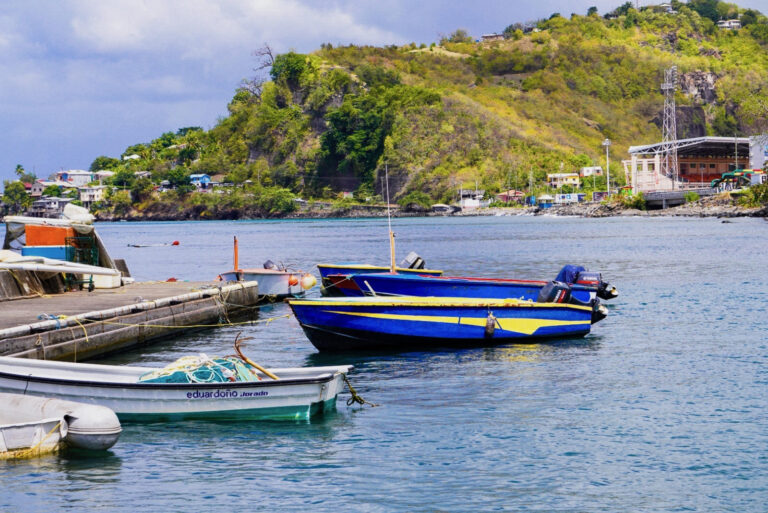 Grenada's Fisheries Crisis: A Catastrophe in the Making Local fishing vessels docked at pier